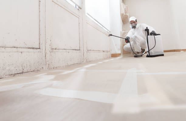 24/7 Emergency Mold Inspection experts in Bellevue, WA